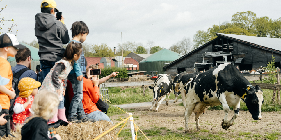 GWD-Weideaustrieb-26_Thumbnail_WON