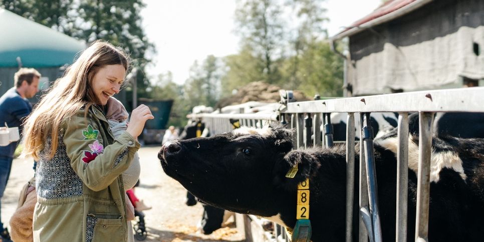 Oeffentliche-Hoffuehrungen